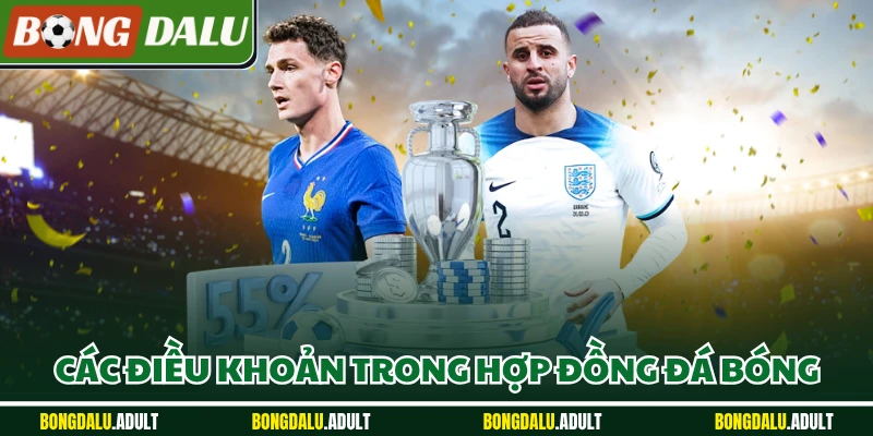 Các điều khoản trong hợp đồng đá bóng
