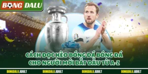 Cách đọc kèo bóng đá