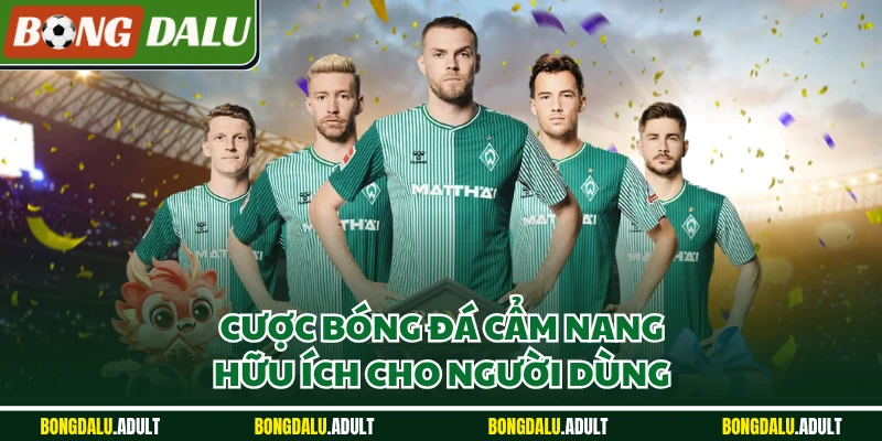 Cược bóng đá cẩm nang hữu ích cho người dùng