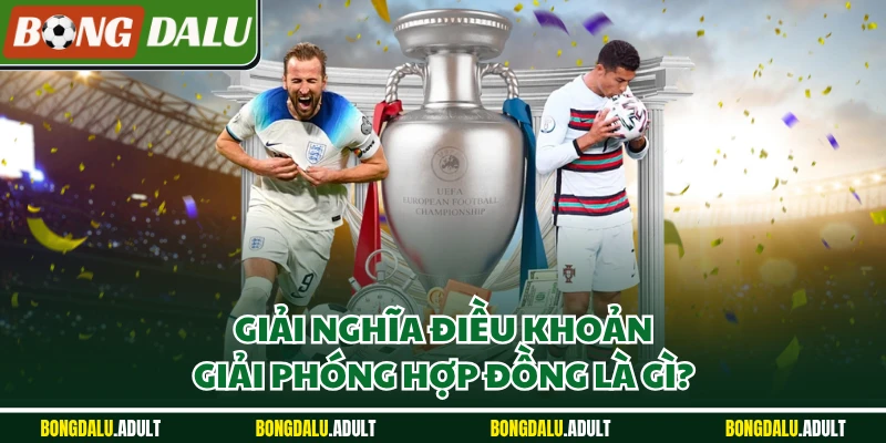 Giải nghĩa điều khoản giải phóng hợp đồng là gì?